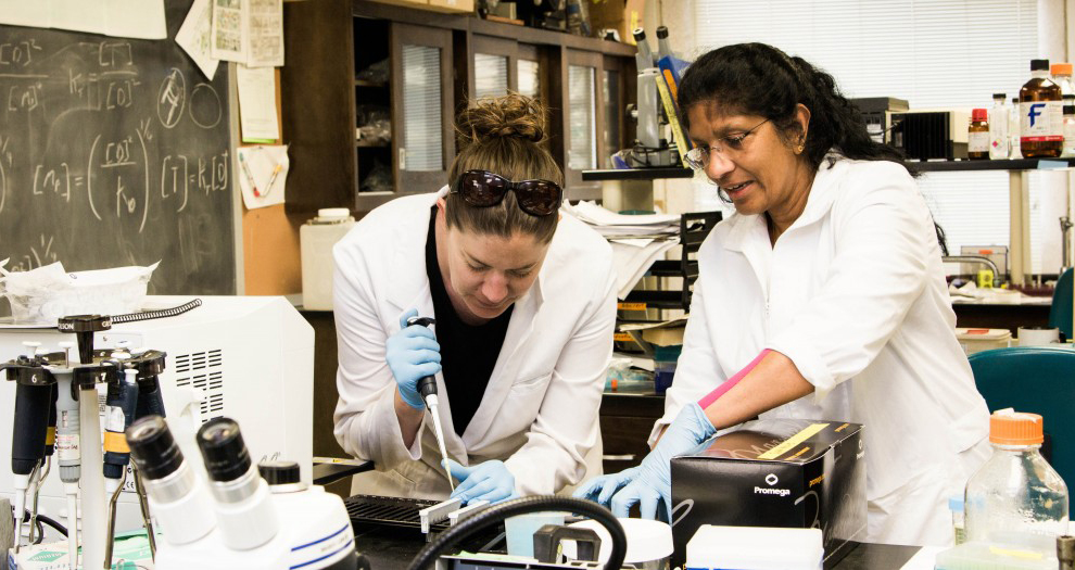 Featured Image for UNCG Molecular Core Lab aims to speed up your work