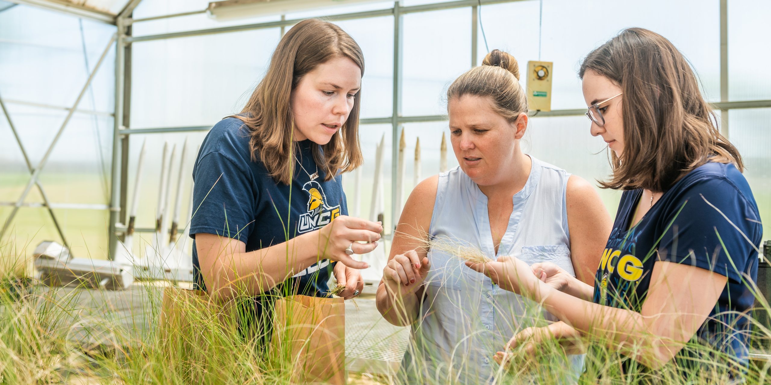 Sally Koerner and two students work with plant samples in Northridge greenhouse.