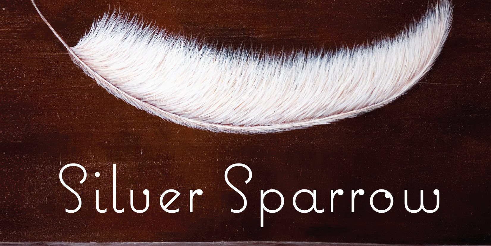 The cover of Silver Sparrow by Tayari Jones