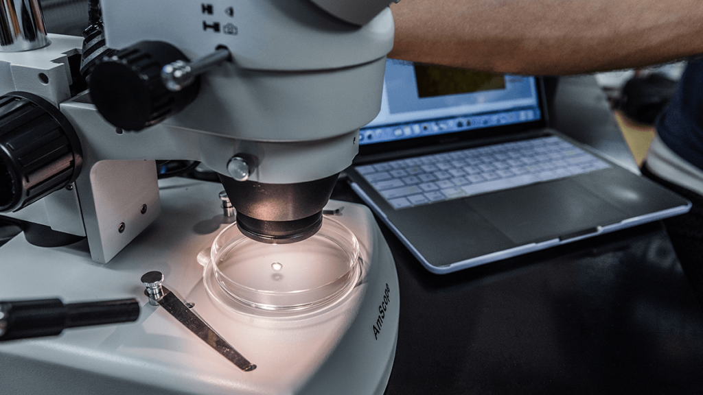 A microscope in use.