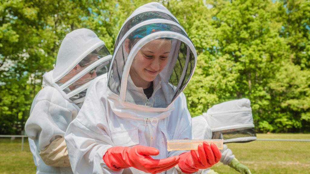 Woman in beekeeper suit examines honey sample outside