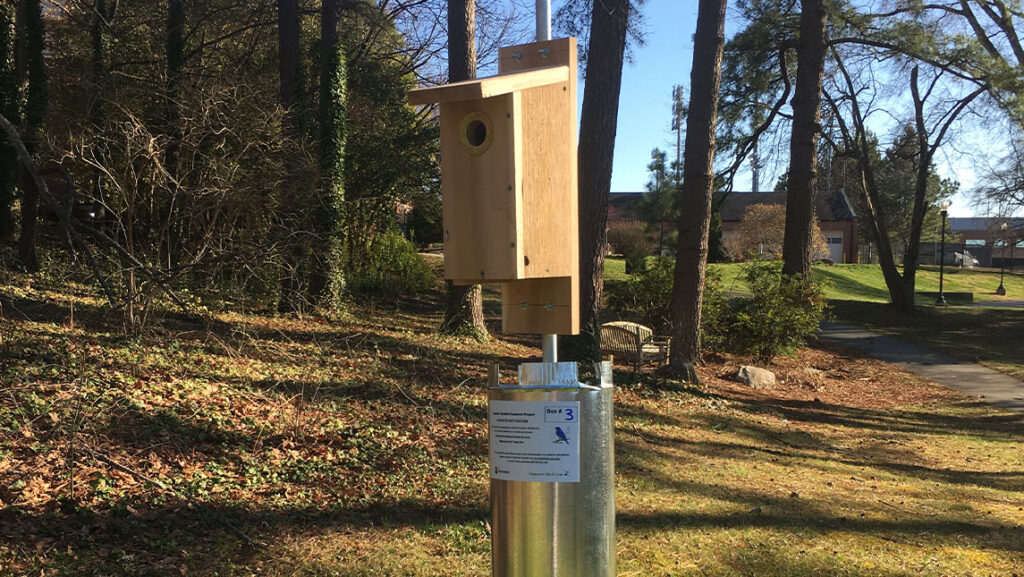 A bird house outdoors in a forest