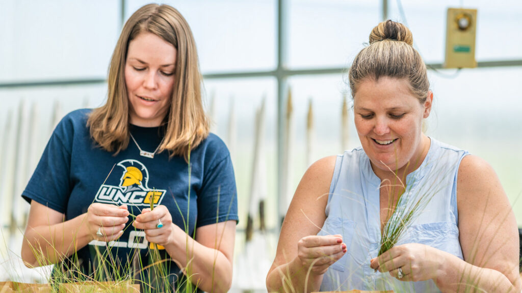 Alysa Young working with another researcher investigating grass