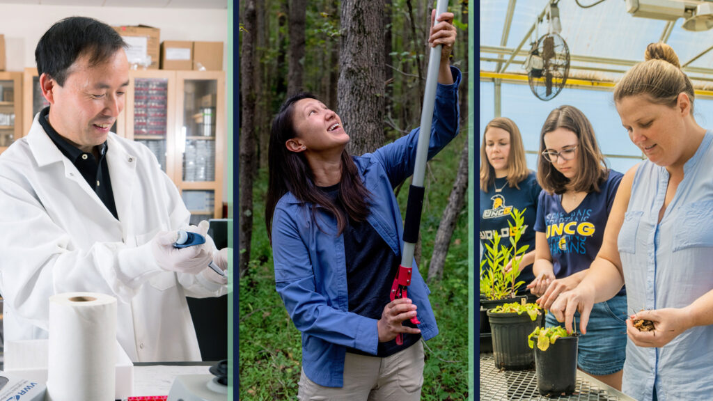 Jia in the lab, Komatsu in the field, and Koerner in the greenhouse with student researchers