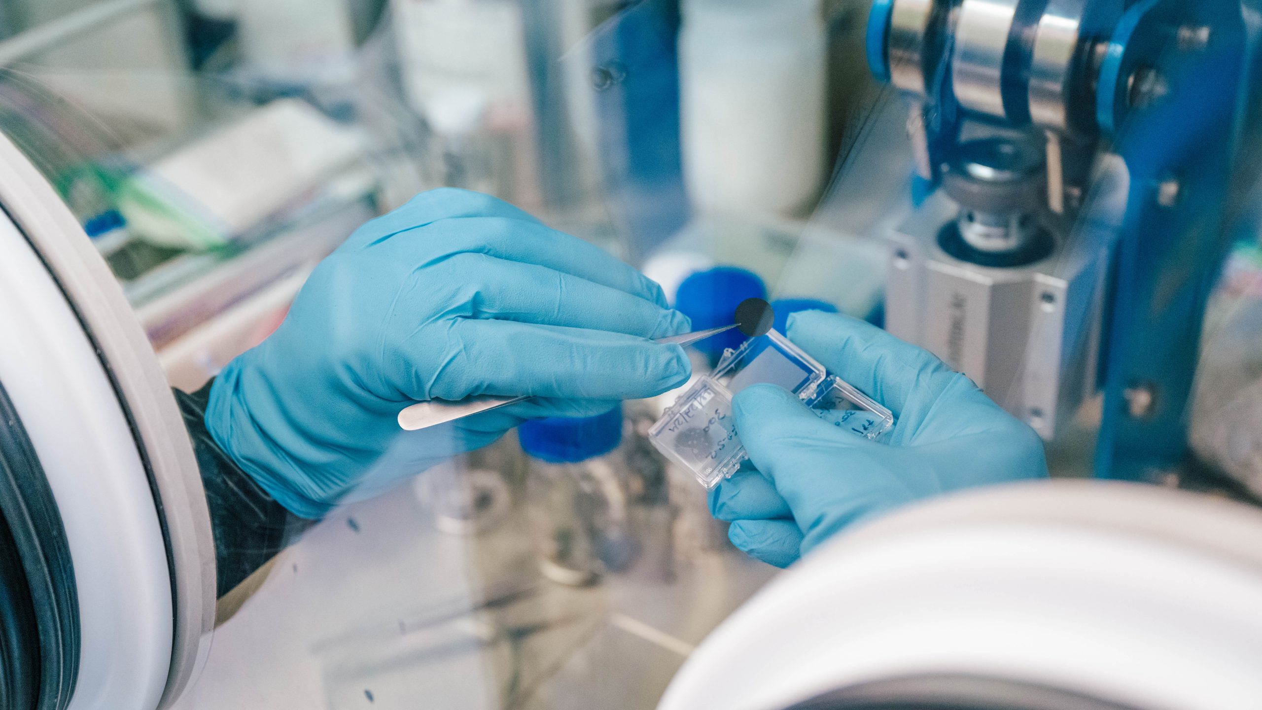 A person in gloves uses tweezers to place a something on a glass slide