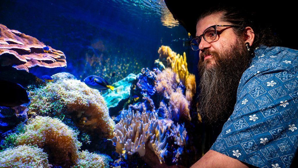 Dr. Derek Skillings peers into a coral reef tank