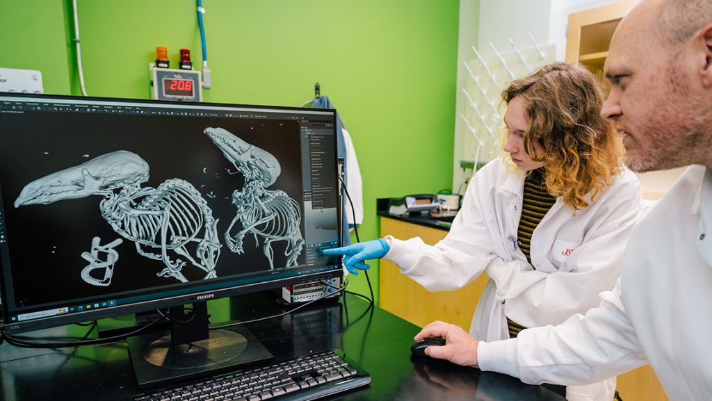 Dr. Bryan McLean and an undergraduate look at bones