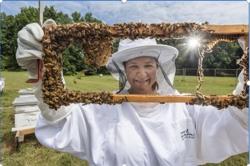 Dr. Kaira Wagoner holds up honey bee slab