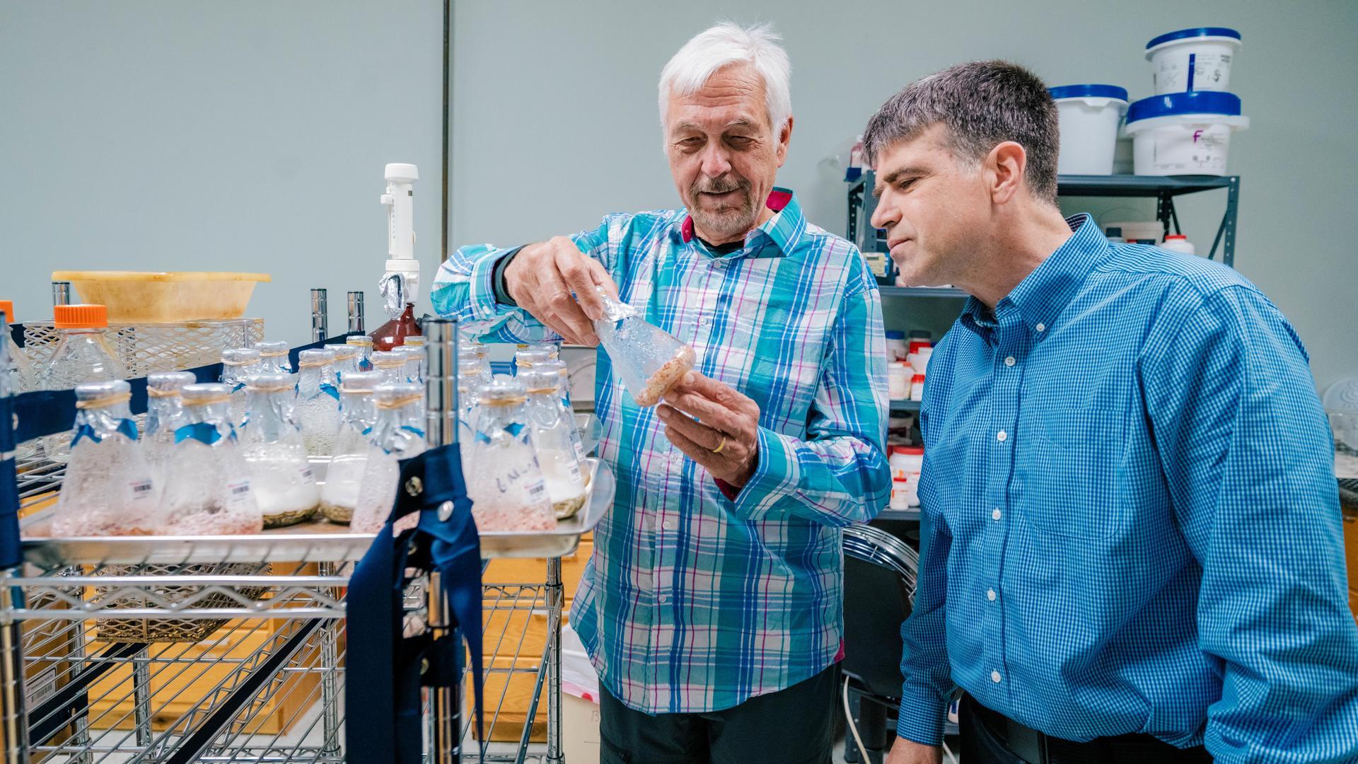 Dr. Nick Oberlies’ UNCG lab explores cancer-fighting compounds in fungi, the chemistry of medicinal herbs, and energy from nature