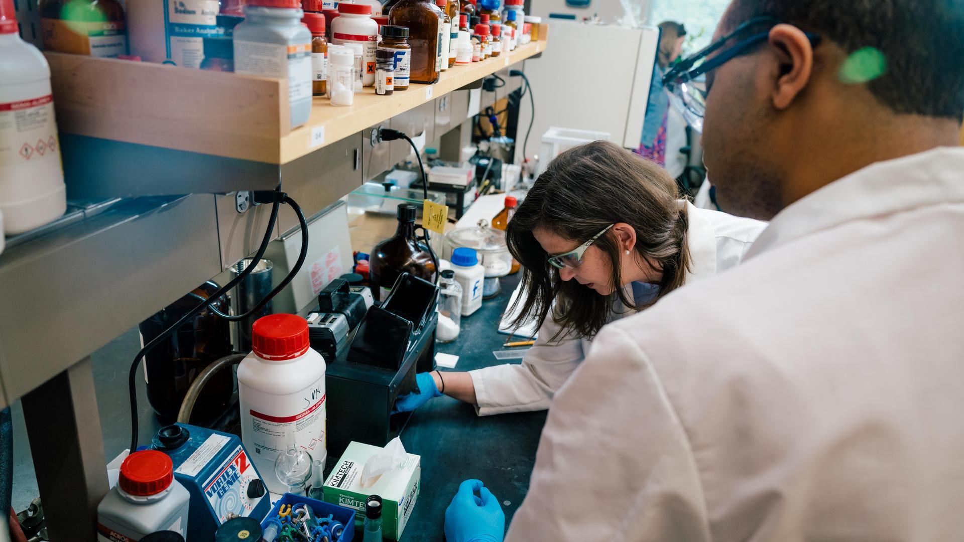 Biochemistry faculty and students doing research