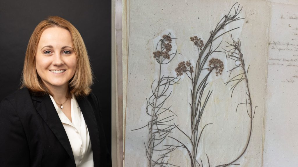 Professional portrait of Dr. Jewel Parker n a black blazer and white blouse displayed beside a botanical specimen sheet featuring a preserved plant with thin stems and clustered blossoms.