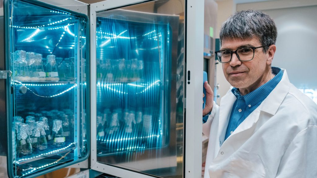Dr. Nick Oberlies in a lab coat standing beside an open refrigerated storage unit illuminated with blue light, containing multiple jars and containers used for laboratory work.